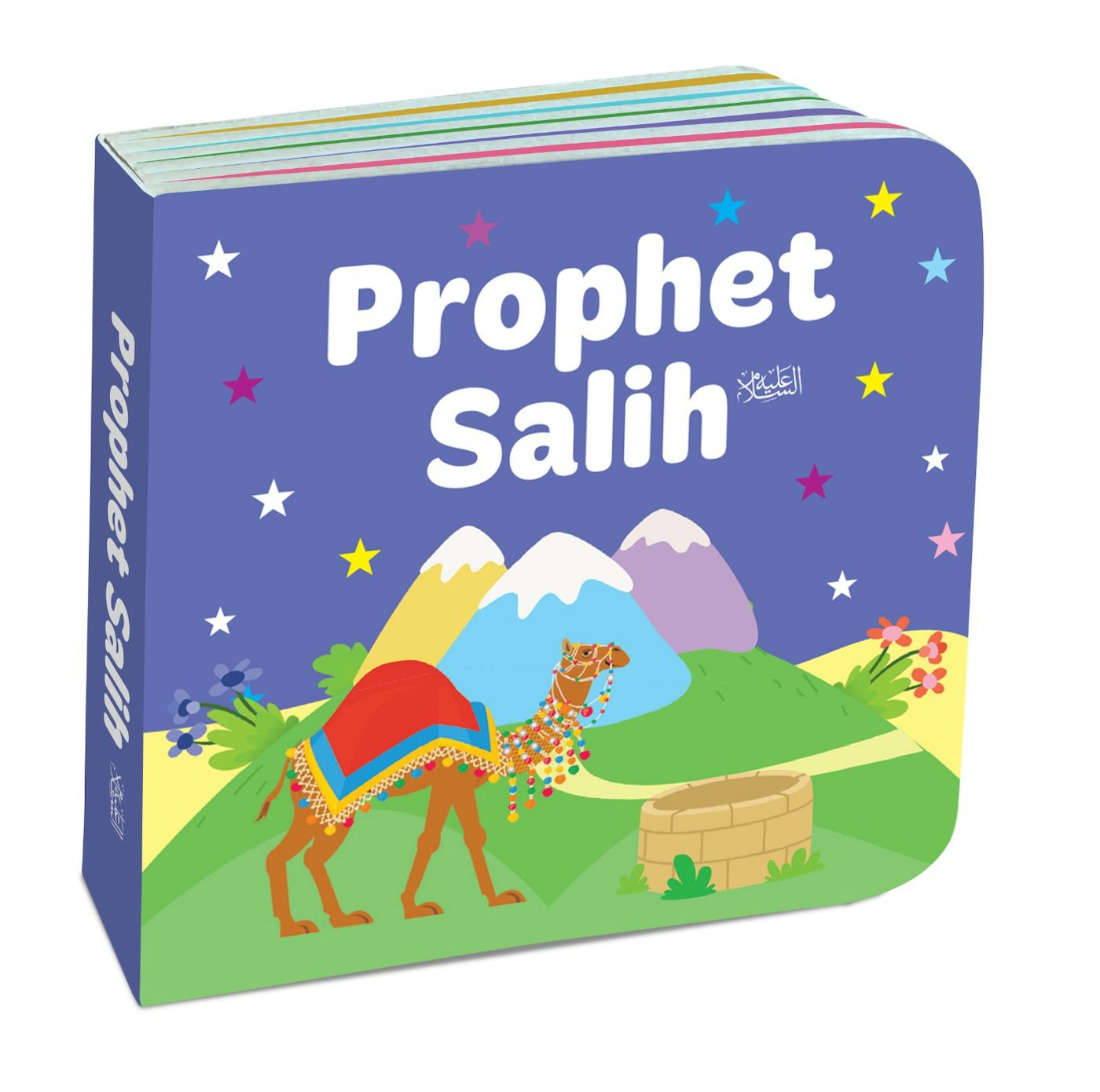 My Little Library Quran Stories (12 Board Books)