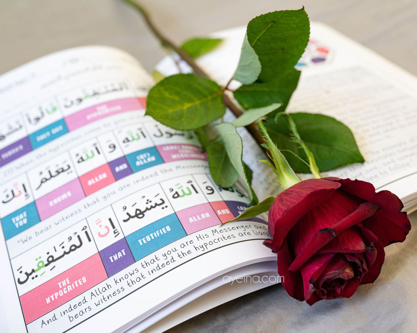 Juz 29 Journal